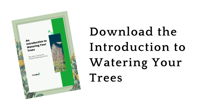 Tree Watering Guide LP Banner 2